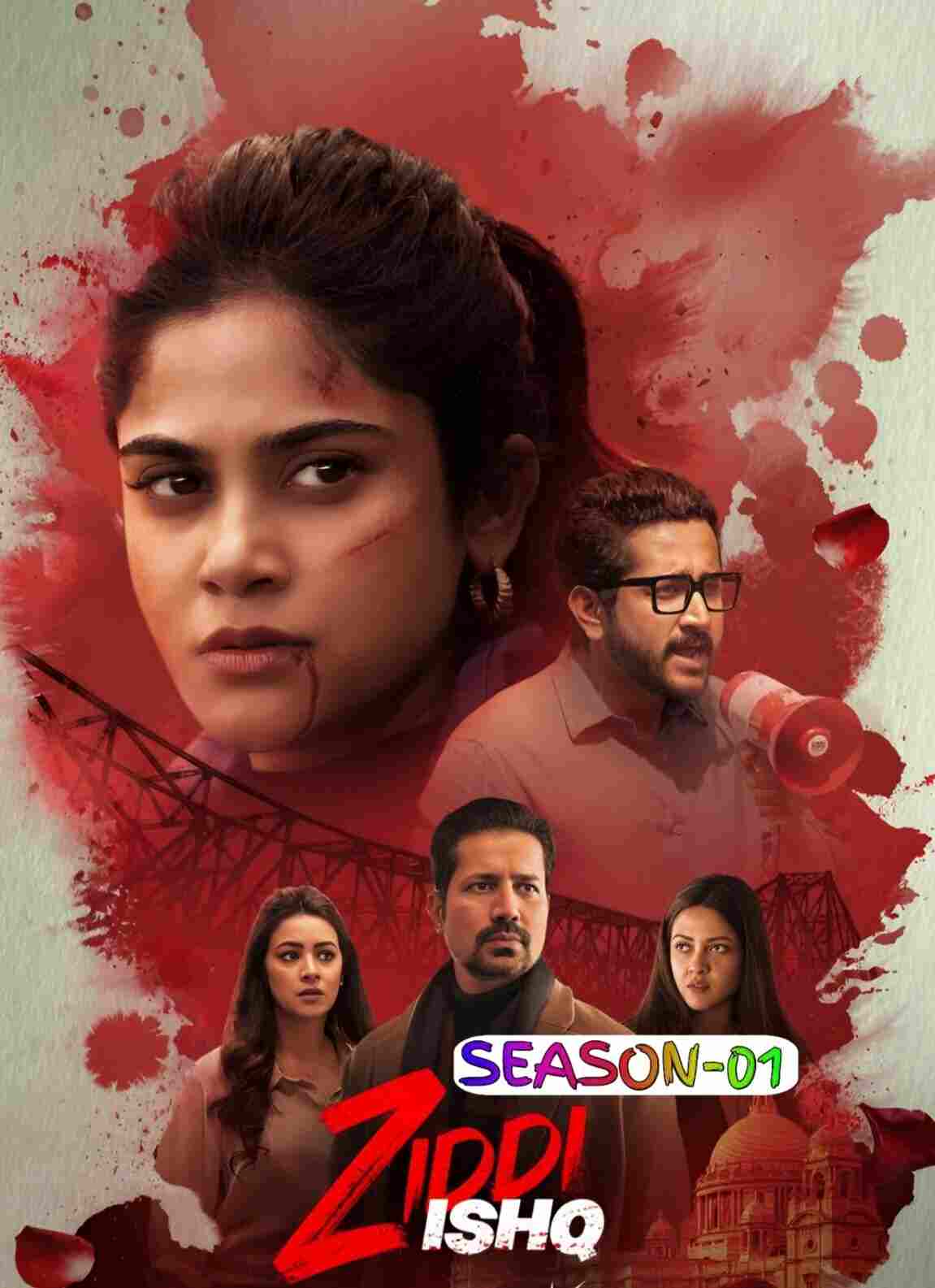 Ziddi Ishq S01 (2025) Hindi Completed Web Series HEVC ESub