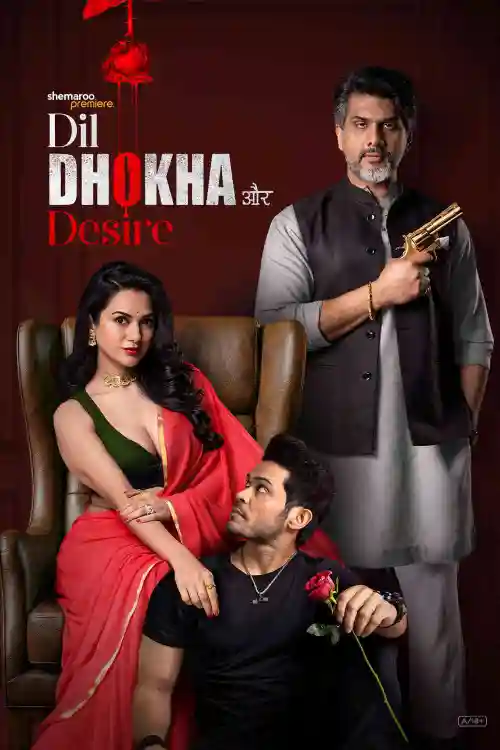 Dil Dhokha Aur Desire S01 (2026) Hindi Computed Web Series HEVC ESub